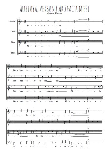 Alleluia verbum caro factum est
